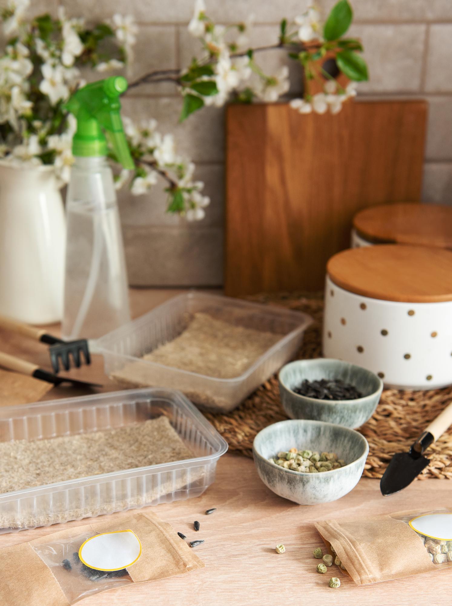 small kitchen workspace with herbs and utensils